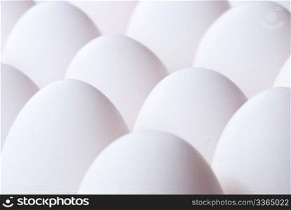 Group of fresh white eggs in rows