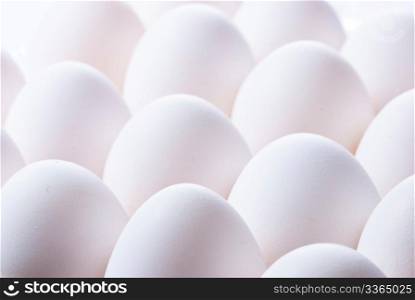 Group of fresh white eggs in rows