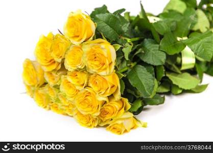 Group of fresh yellow roses isolated on a white background