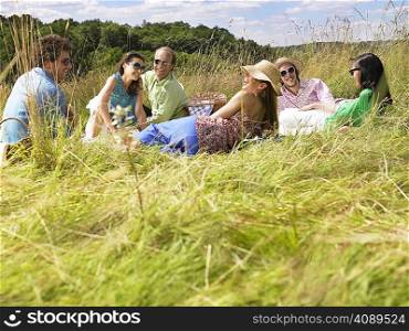 Group of friends having a picnic