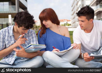 Group of friends studying at the park