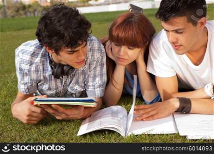 Group of friends studying at the park