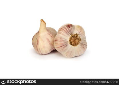 Group of garlics . A heads of garlics isolated on a white background