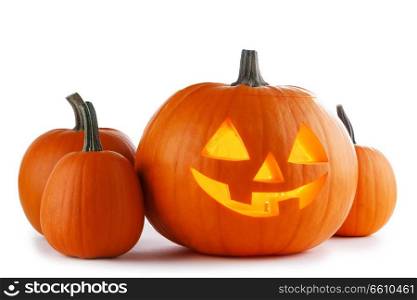 Group of Halloween Pumpkins isolated on white background. Halloween Pumpkins on white
