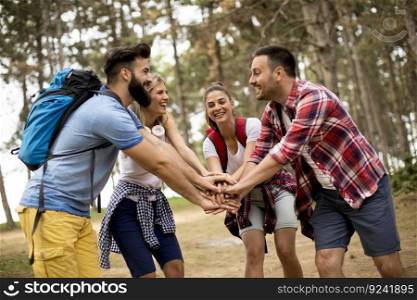 Group of happy young hikers in forest