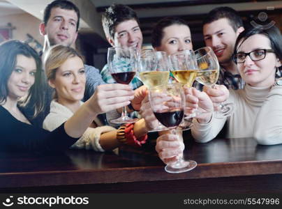 Group of happy young people drink wine at party disco restaurant