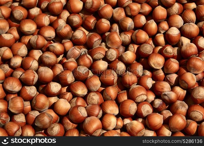 Group of hazelnuts food background texture