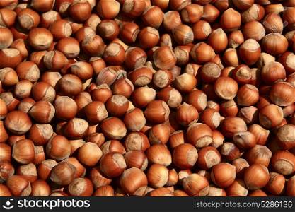 Group of hazelnuts food background texture