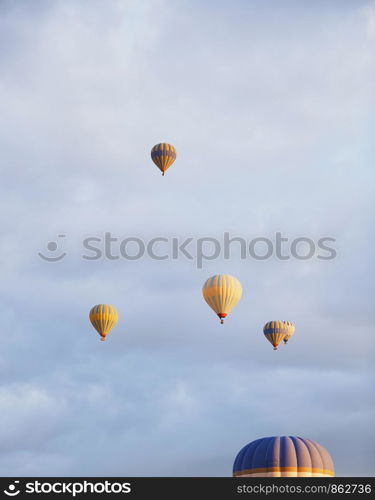 Group of hot air balloons flying in the sky