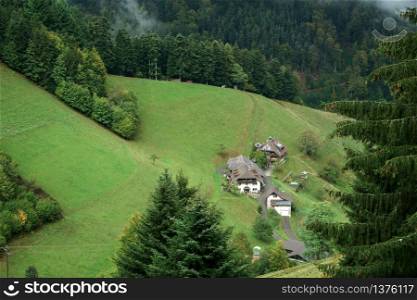 Group of Houses in the Naturpark Sudscwarzwald in Southern Germany