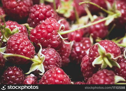 group of juicy raspberries close up shot