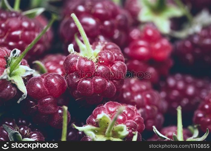 group of juicy raspberries close up shot