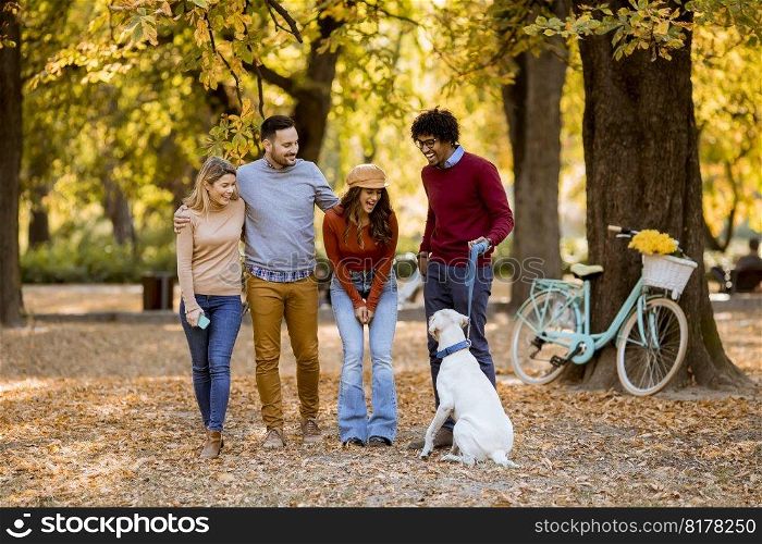 Group of multiracial young people walking in the autumn park and having fun