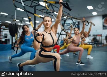 Group of muscular women doing exercise in gym. People on fitness workout in sport club, athletic girls in sportswear on training indoors. Group of muscular women doing exercise in gym