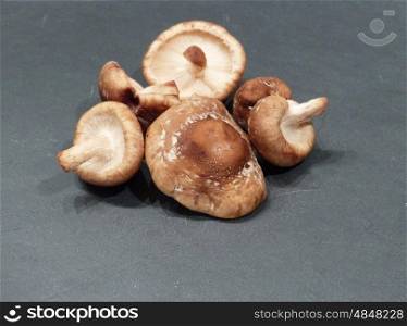 Group of mushrooms on slate&#xD;&#xA;
