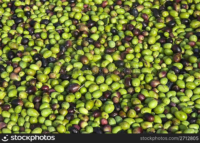 group of olives