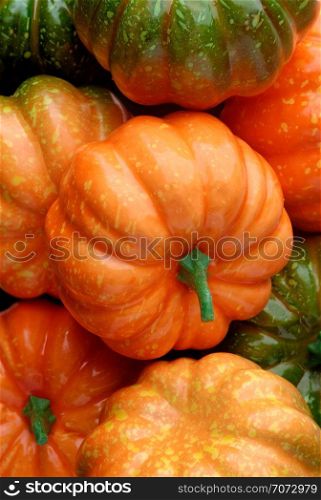 Group of orange and green pumpkins, closeup shot, seasonal background. Group of orange and green pumpkins