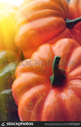 Group of orange and green pumpkins, closeup shot, sunlight effect, seasonal background. Group of orange and green pumpkins