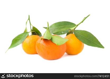 Group of orange mandarins with green leaves isolated on white background