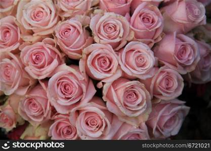 Group of pale pink roses in a floral arrangement