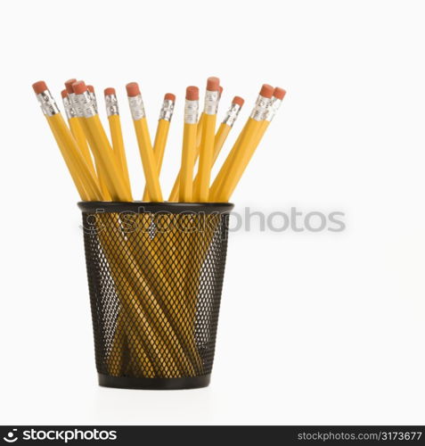 Group of pencils in a pencil holder with eraser ends up.