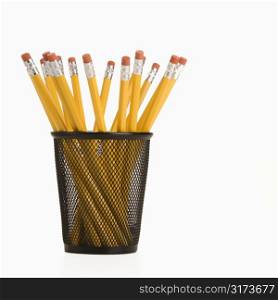Group of pencils in a pencil holder with eraser ends up.