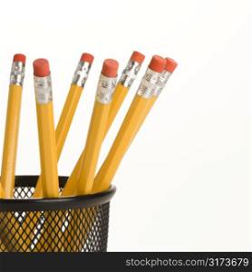 Group of pencils in a pencil holder with eraser ends up.
