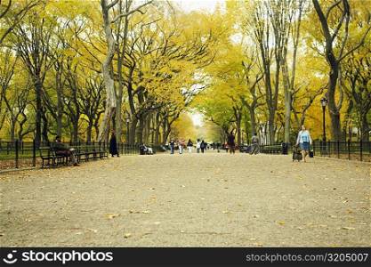 Group of people in a park, Central Park, Manhattan, New York City, New York State, USA