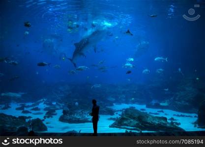 group of People observing fish at an aquarium