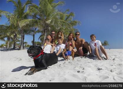 Group of people sitting with dogs on the beach