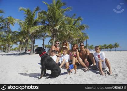 Group of people sitting with dogs on the beach
