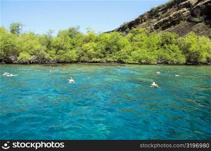 Group of people swimming in a river, Captain Cook&acute;s Monument, Kealakekua Bay, Kona Coast, Big Island, Hawaii Islands, USA