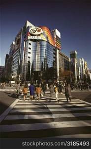 Group of people walking on the zebra crossing, Ginza, Tokyo Prefecture, Japan