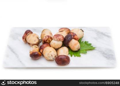group of porcini mushrooms on marble chopping board