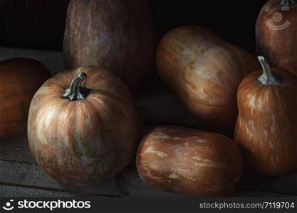 Group of pumpkins on a wooden table. High angle view