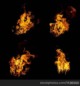 Group of real and hot flames are burning on a black background.