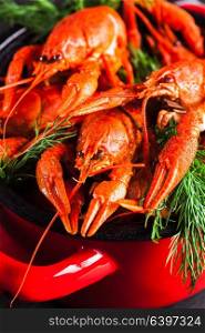 Group of red boiled crayfish with herbs on slate dark background. Boiled lobster close-up