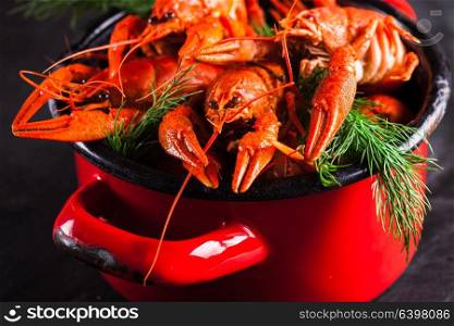 Group of red boiled crayfish with herbs on slate dark background. Boiled lobster close-up