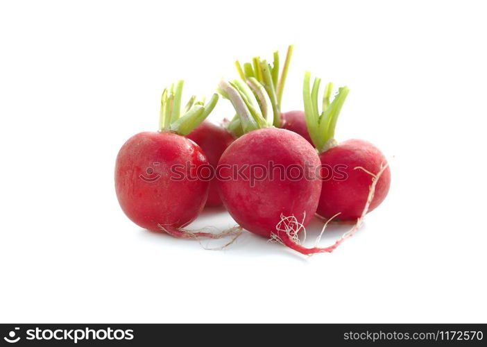 group of red radishes isolated on white background