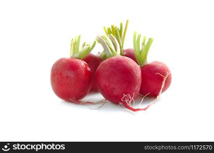 group of red radishes isolated on white background