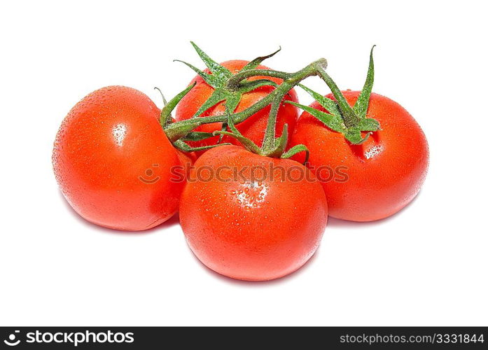 Group of red tomatoes isolated on white