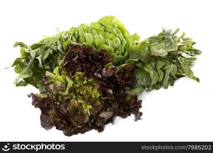 group of salad in front of white background