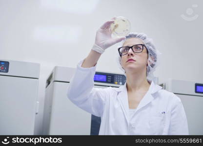 group of scientists working at the laboratory