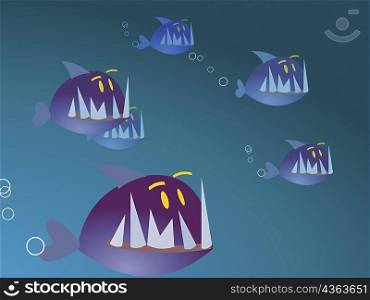 Group of sharks swimming underwater