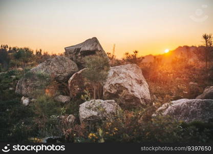 Group of stones at sunset surrounded by pine trees