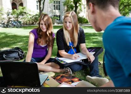 Group of students on the campus grass with laptop and books
