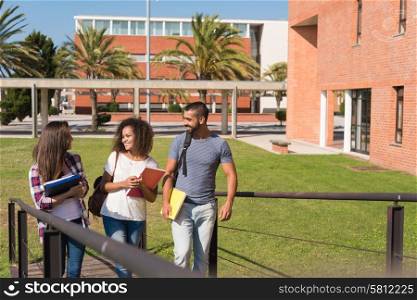 Group of students sitting on school campus