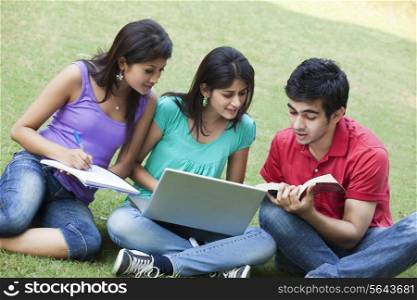 Group of students studying while sitting in lawn