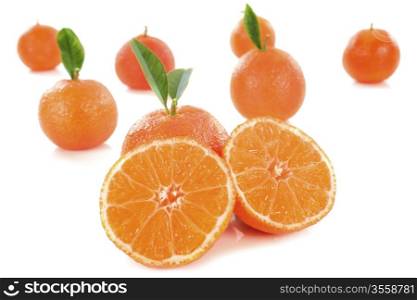 group of tangerines in front of white background