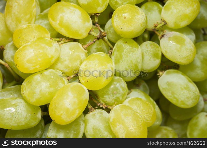 Group of tasty fresh green grapes close up background.